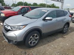 Salvage cars for sale at Columbus, OH auction: 2019 Honda CR-V EX
