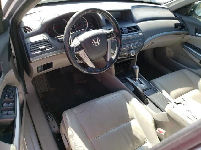 2010 Honda Accord EXL