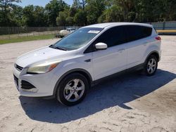 Salvage cars for sale from Copart Fort Pierce, FL: 2014 Ford Escape SE