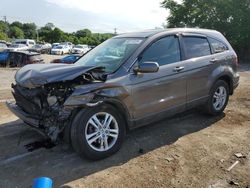 Salvage cars for sale at Baltimore, MD auction: 2010 Honda CR-V EXL