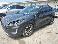 Salvage cars for sale at Louisville, KY auction: 2020 Ford Escape SEL