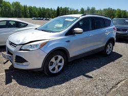 Salvage cars for sale from Copart Bowmanville, ON: 2014 Ford Escape SE