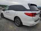 2023 Honda Odyssey EXL