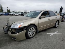 Honda Accord ex Vehiculos salvage en venta: 2006 Honda Accord EX