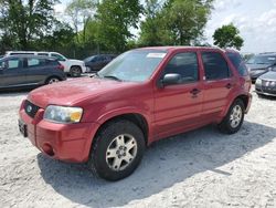 Ford salvage cars for sale: 2007 Ford Escape XLT