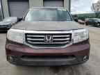 2013 Honda Pilot EXL