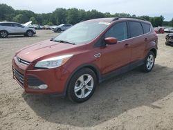 Salvage cars for sale at Conway, AR auction: 2015 Ford Escape SE