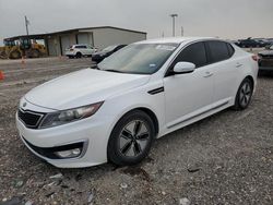 Salvage cars for sale at Temple, TX auction: 2012 KIA Optima Hybrid