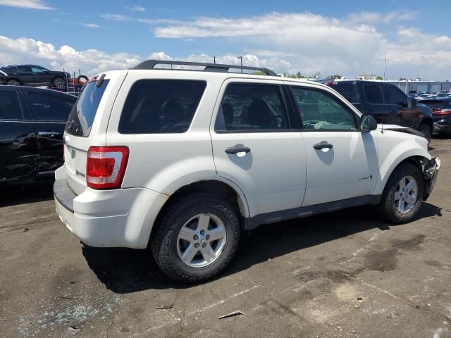 2009 Ford Escape Hybrid