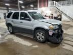 2005 Ford Escape XLT