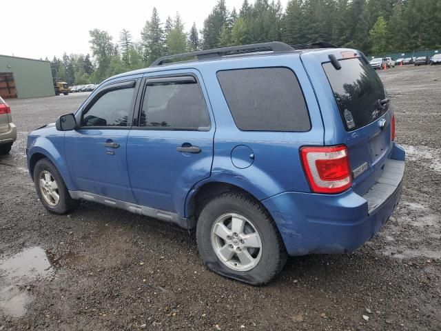 2010 Ford Escape XLT