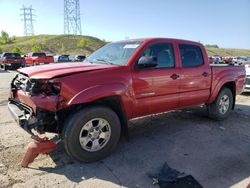 Toyota salvage cars for sale: 2013 Toyota Tacoma Double Cab