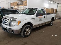 2010 Ford F150 for sale in Ham Lake, MN