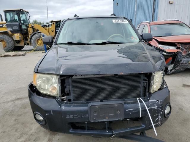 2009 Ford Escape XLT