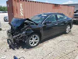 Salvage cars for sale from Copart -no: 2013 Nissan Maxima S
