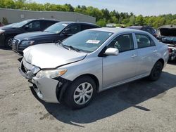 Salvage cars for sale at auction: 2010 Toyota Corolla Base