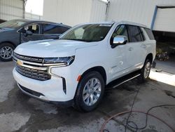Salvage cars for sale from Copart Albuquerque, NM: 2024 Chevrolet Tahoe K1500 Premier