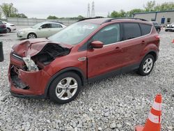 Salvage cars for sale at Barberton, OH auction: 2014 Ford Escape SE