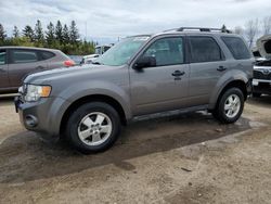 Salvage cars for sale at Bowmanville, ON auction: 2011 Ford Escape XLT