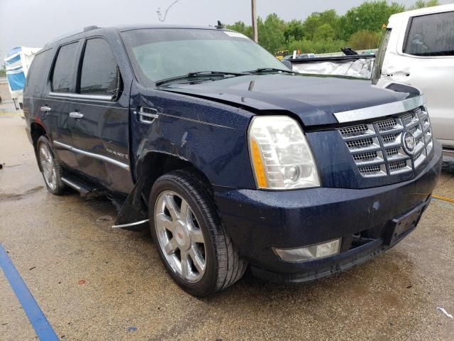 2008 Cadillac Escalade Luxury