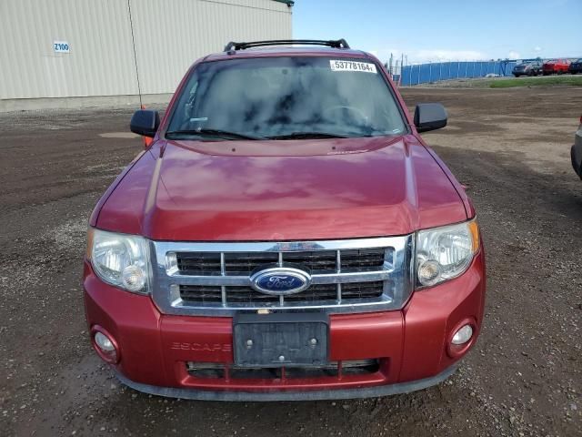 2012 Ford Escape XLT