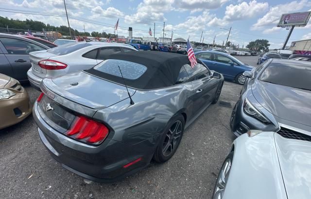 2019 Ford Mustang