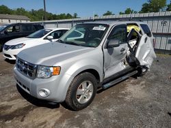 Salvage cars for sale at York Haven, PA auction: 2008 Ford Escape XLT