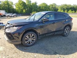 Salvage cars for sale at Waldorf, MD auction: 2021 Toyota Venza LE