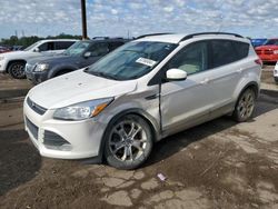 Salvage cars for sale at Woodhaven, MI auction: 2016 Ford Escape SE