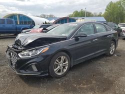 Salvage cars for sale from Copart East Granby, CT: 2019 Hyundai Sonata Limited
