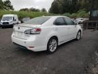 2010 Lexus HS 250H