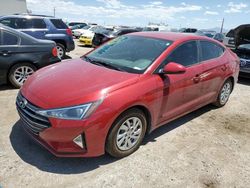 Salvage cars for sale at Tucson, AZ auction: 2020 Hyundai Elantra SE