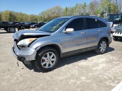 Honda cr-v exl salvage cars for sale: 2008 Honda CR-V EXL