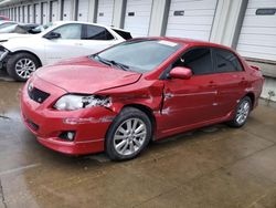 Salvage cars for sale at Louisville, KY auction: 2010 Toyota Corolla Base