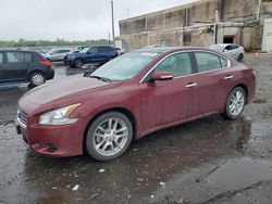 Salvage cars for sale from Copart Fredericksburg, VA: 2010 Nissan Maxima S
