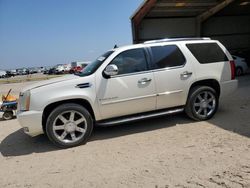 Salvage cars for sale at Houston, TX auction: 2008 Cadillac Escalade Luxury
