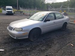 Chevrolet salvage cars for sale: 2005 Chevrolet Classic