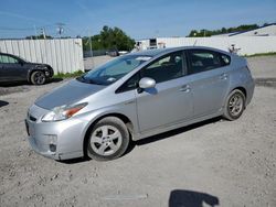 Salvage cars for sale at Albany, NY auction: 2010 Toyota Prius