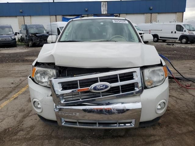 2011 Ford Escape Limited