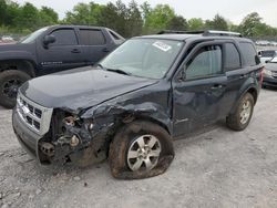 Salvage cars for sale at Madisonville, TN auction: 2010 Ford Escape Hybrid