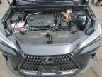 2024 Lexus NX 350H Base