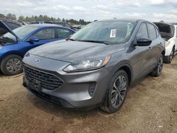 Salvage cars for sale at Elgin, IL auction: 2021 Ford Escape SE