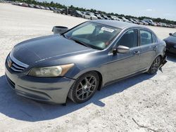 Salvage cars for sale at Arcadia, FL auction: 2011 Honda Accord LX