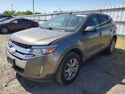 Salvage cars for sale from Copart Sacramento, CA: 2013 Ford Edge SEL