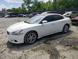 Nissan Maxima S salvage cars for sale: 2012 Nissan Maxima S