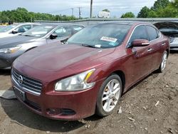 Nissan Maxima S salvage cars for sale: 2011 Nissan Maxima S