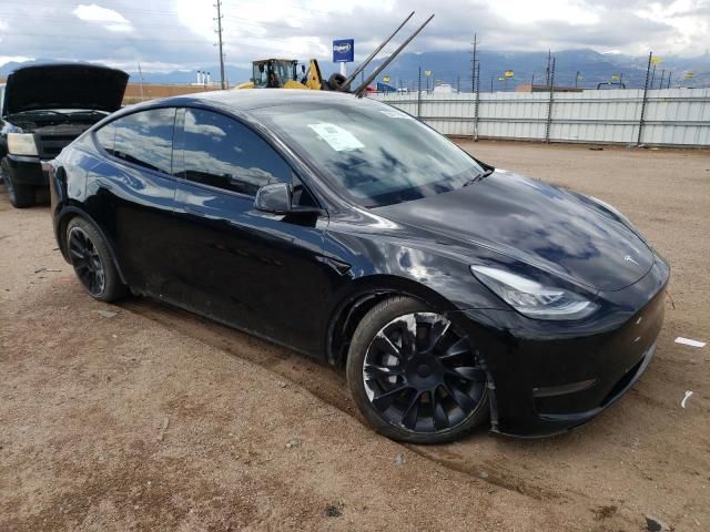 2020 Tesla Model Y