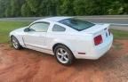 2008 Ford Mustang