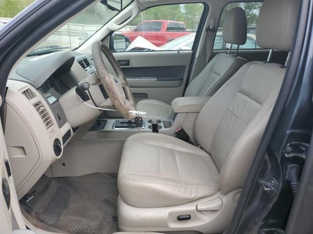 2009 Ford Escape XLT