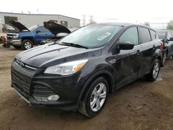 Salvage cars for sale at Elgin, IL auction: 2015 Ford Escape SE